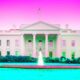 US Banks Can Hold Bitcoin and Crypto Under Incoming Trump Executive Order: Report