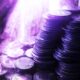 Chainalysis Develops System Enabling Law Enforcement To Trace and Seize Illicit Crypto Assets