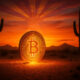 Arizona state won’t buy Bitcoin